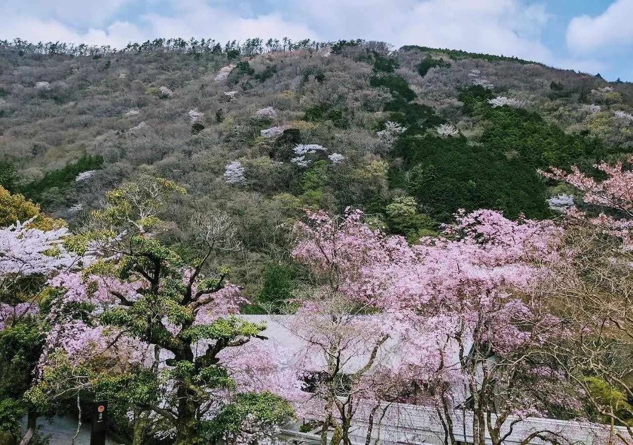 Condominium Sakura B5 - Vacation Stay 56334V Hakone Daire