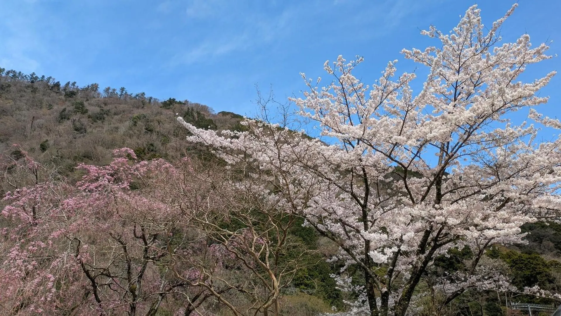 Condominium Sakura B5 - Vacation Stay 56334V Hakone Daire