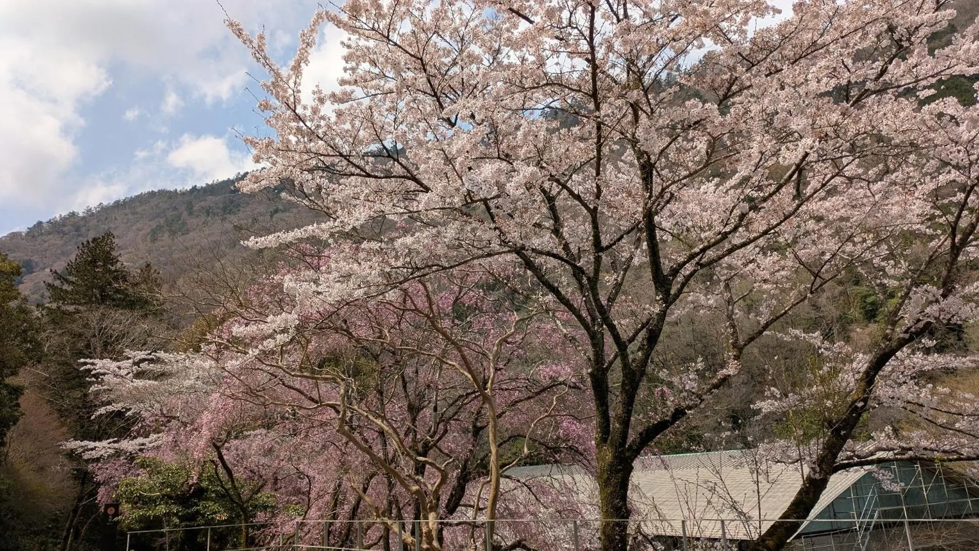 Daire Condominium Sakura B5 - Vacation Stay 56334V Hakone